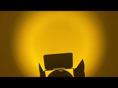 Lumière à vis de fresnel à LED WW CW